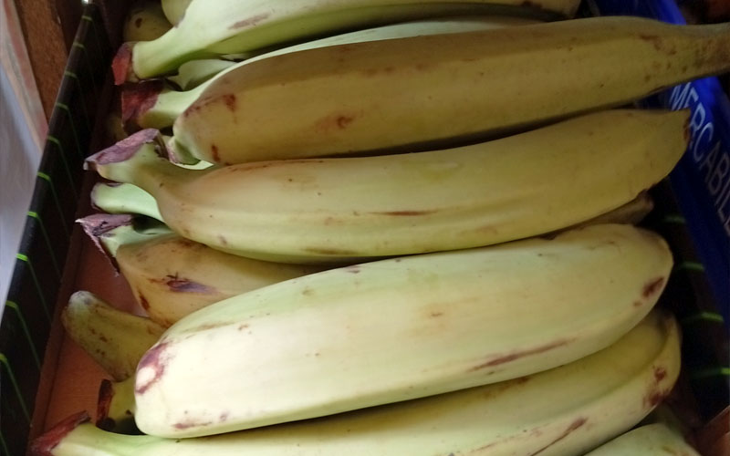 Alimentación latina en Errenteria - Frutas y verduras para cocinar platos latinos tradicionales