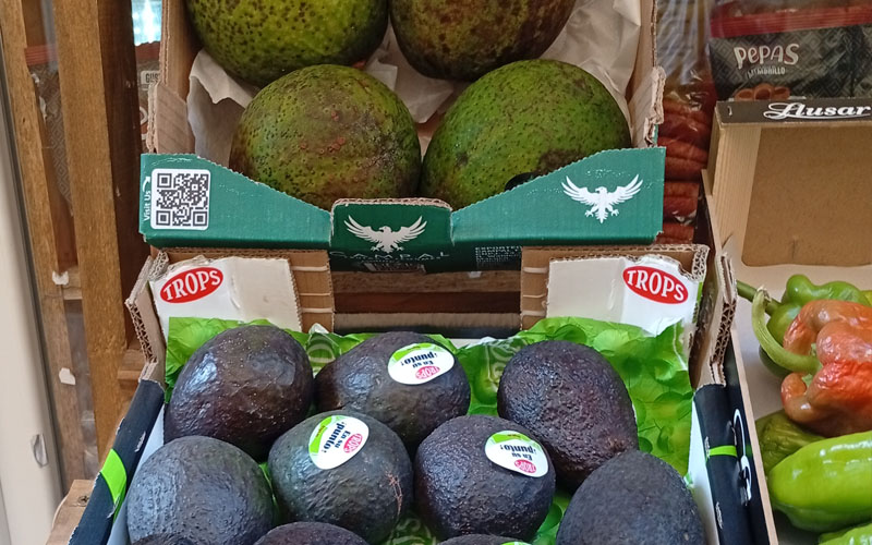 Alimentación latina en Errenteria - Frutas y verduras para cocinar platos latinos tradicionales